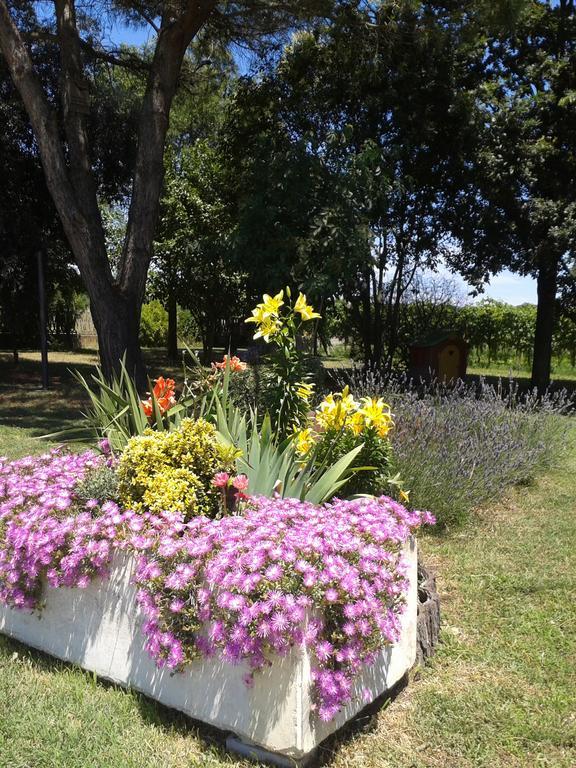 Valle Rillo Agriturismo Villa Comacchio Ngoại thất bức ảnh