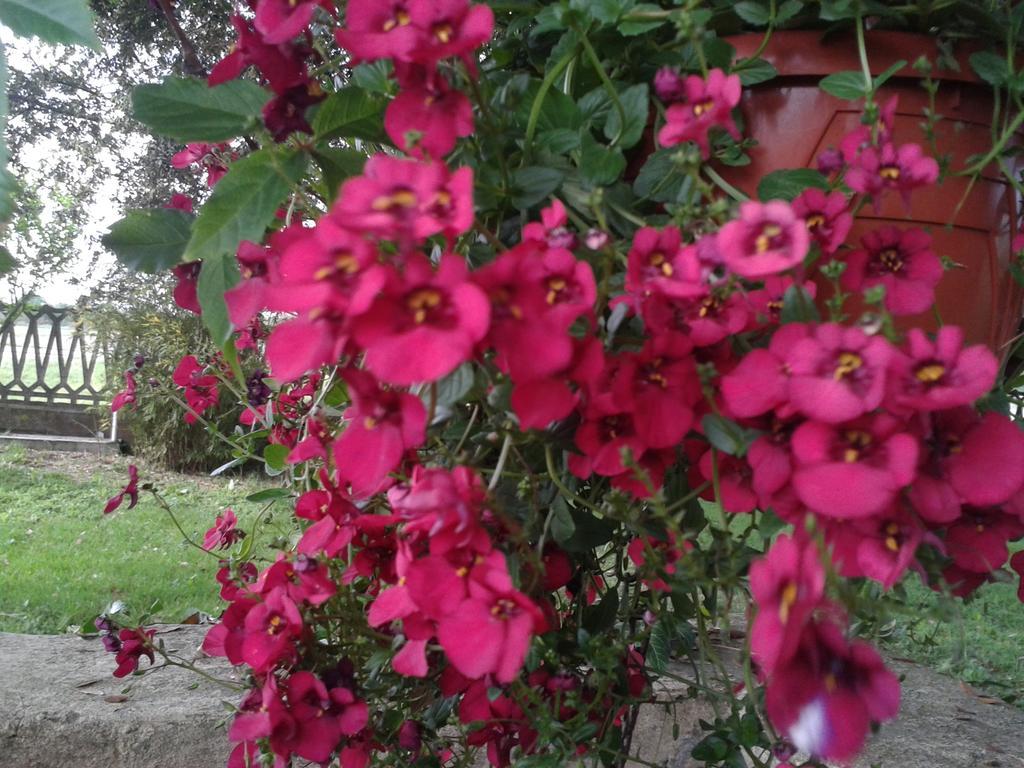 Valle Rillo Agriturismo Villa Comacchio Ngoại thất bức ảnh