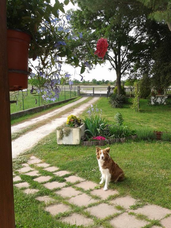 Valle Rillo Agriturismo Villa Comacchio Ngoại thất bức ảnh
