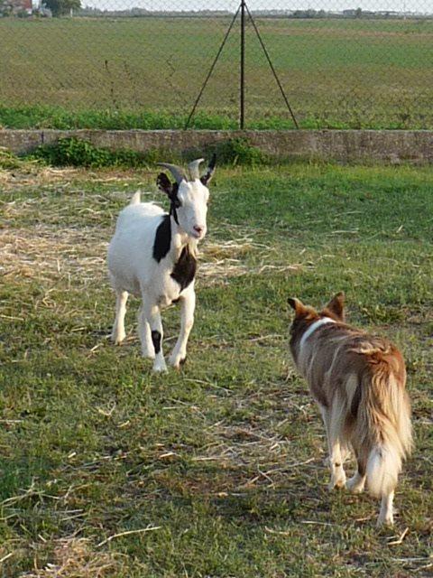 Valle Rillo Agriturismo Villa Comacchio Ngoại thất bức ảnh