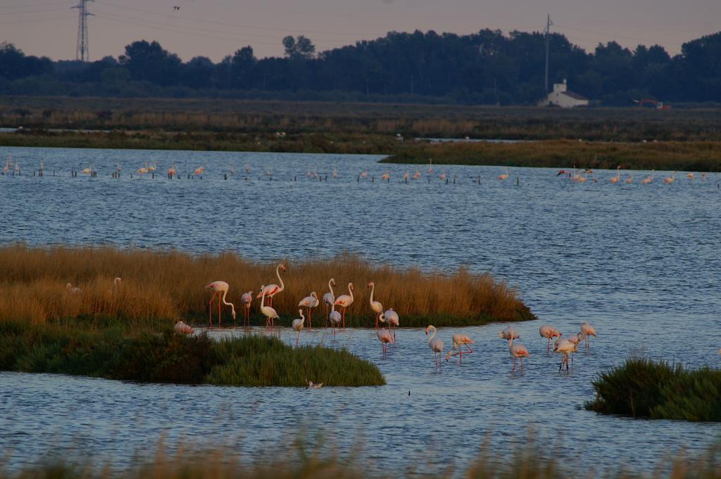 Valle Rillo Agriturismo Villa Comacchio Ngoại thất bức ảnh
