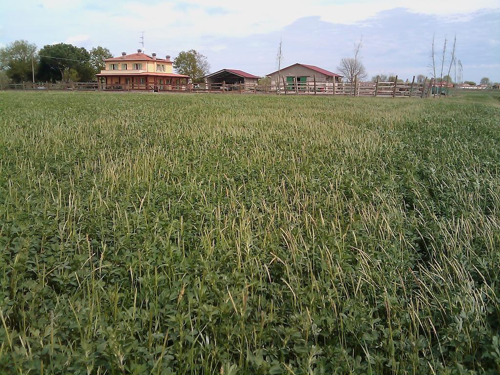 Valle Rillo Agriturismo Villa Comacchio Ngoại thất bức ảnh
