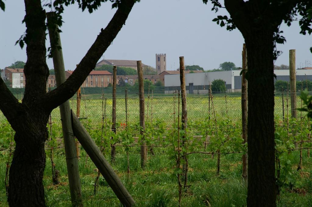 Valle Rillo Agriturismo Villa Comacchio Ngoại thất bức ảnh