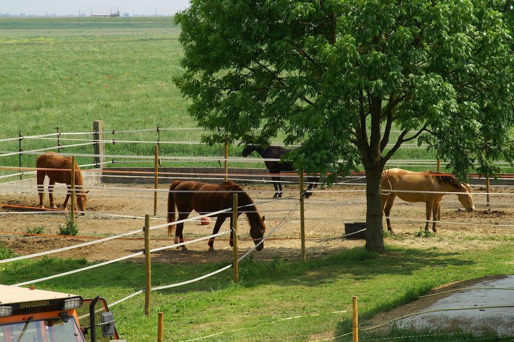 Valle Rillo Agriturismo Villa Comacchio Ngoại thất bức ảnh